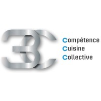 3C 